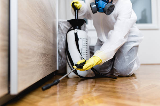 Best Pest Inspection Near Me  in Holly Lake Ranch, TX